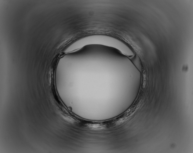 X0000098030165200804251423