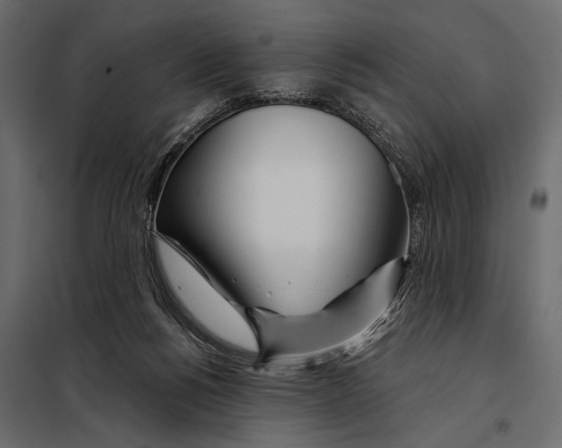 X0000098030168200804251423