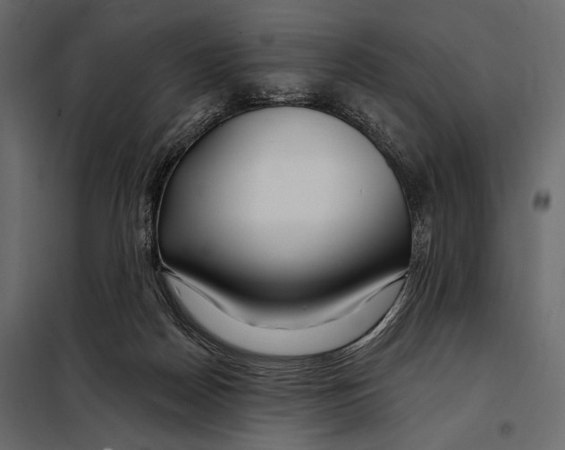 X0000098030170200804251423