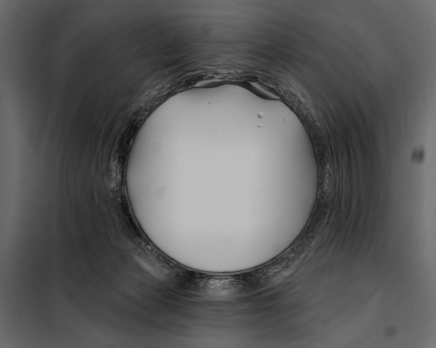 X0000098030173200804251423