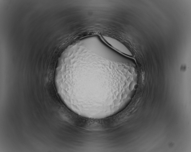 X0000098030177200804251423