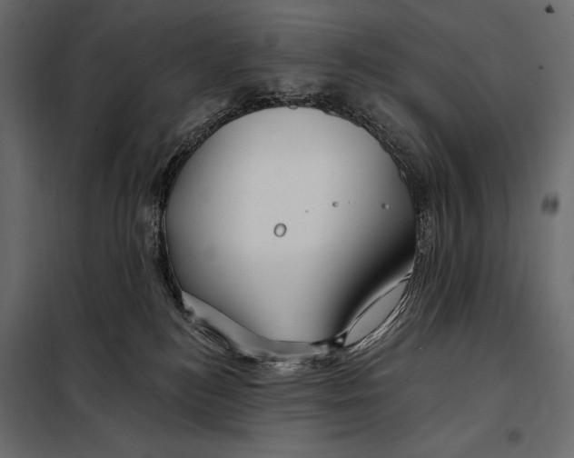 X0000098030184200804251423