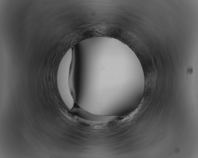 X0000098030186200804251423