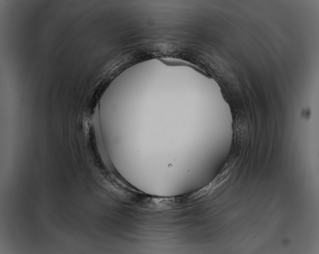 X0000098030188200804251423