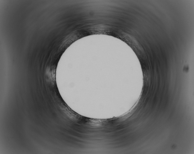 X0000098030190200804251423