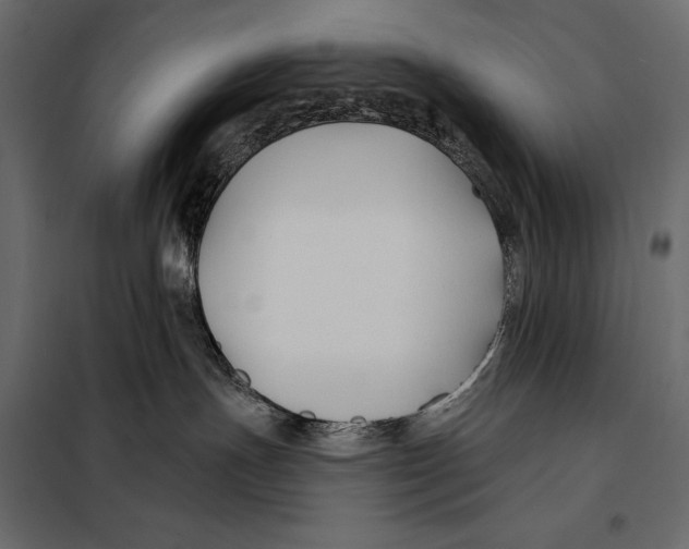 X0000098030191200804251423