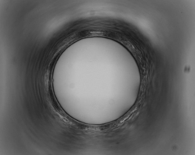 X0000098030194200804251423