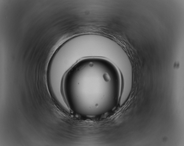 X0000098030195200804251423