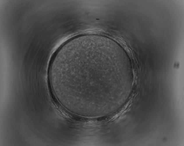 X0000098030196200804251423