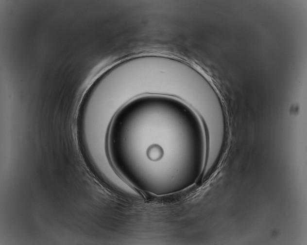 X0000098030199200804251423