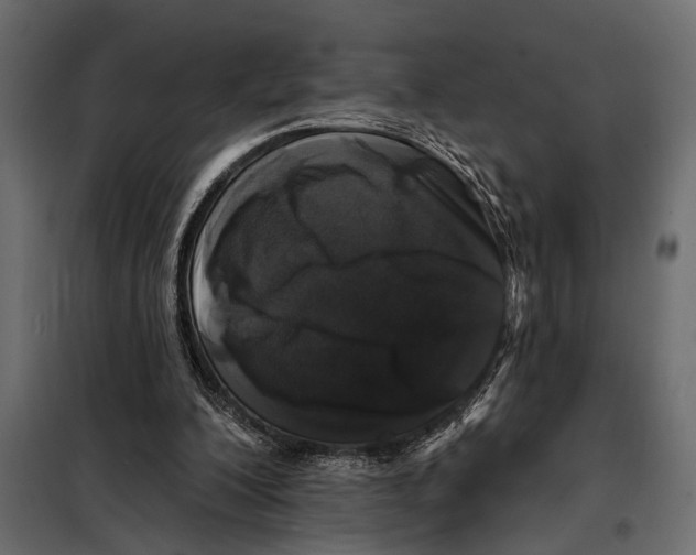 X0000098030200200804251423