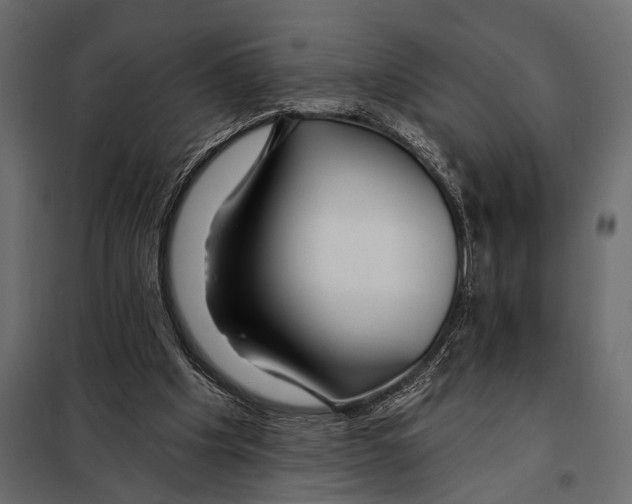 X0000098030201200804251423