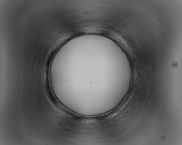 X0000098030202200804251423