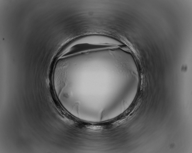 X0000098030203200804251423