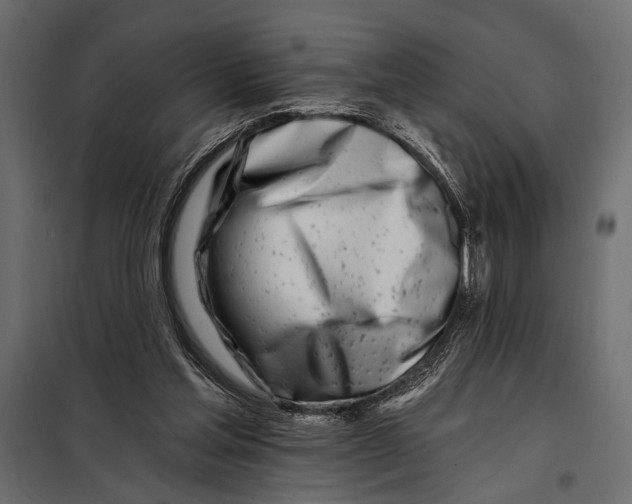 X0000098030205200804251423