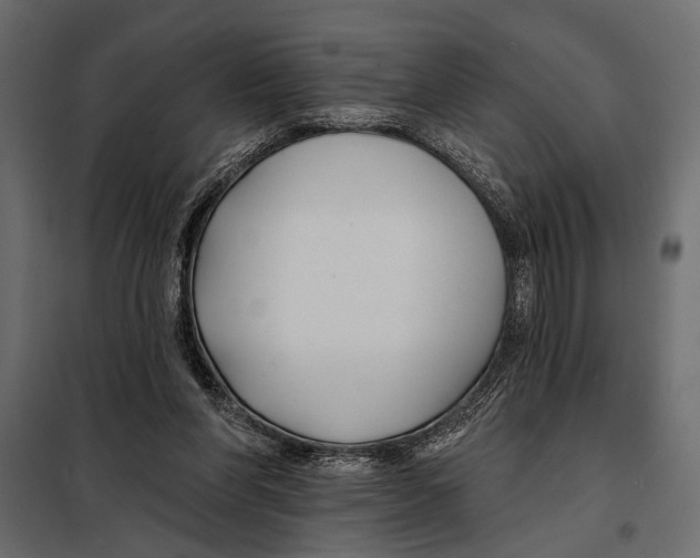 X0000098030206200804251423