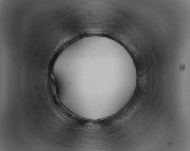 X0000098030207200804251423