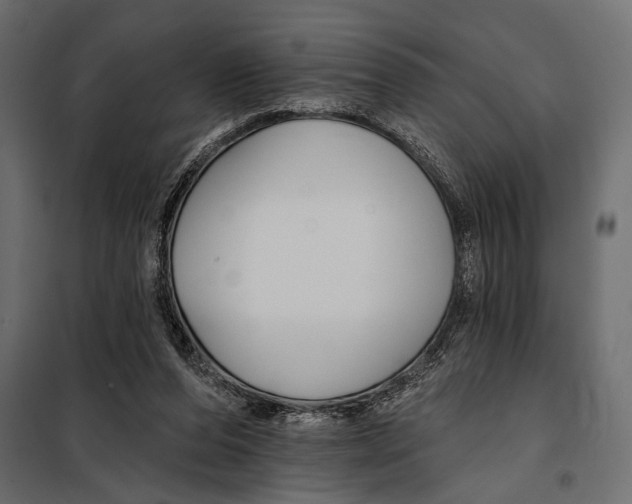 X0000098030208200804251423