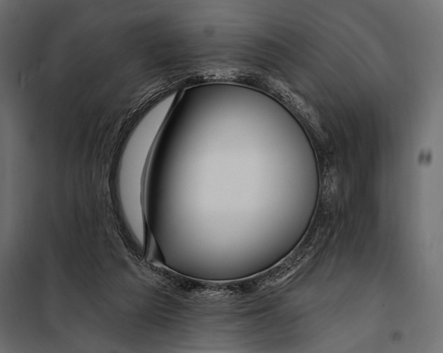 X0000098030209200804251423