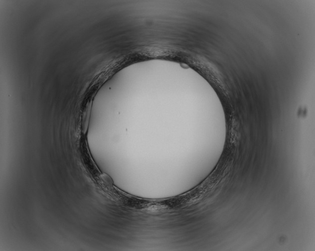 X0000098030210200804251423