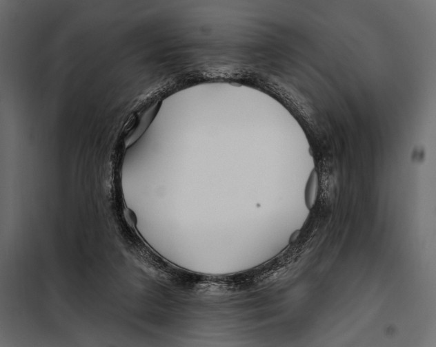 X0000098030211200804251423