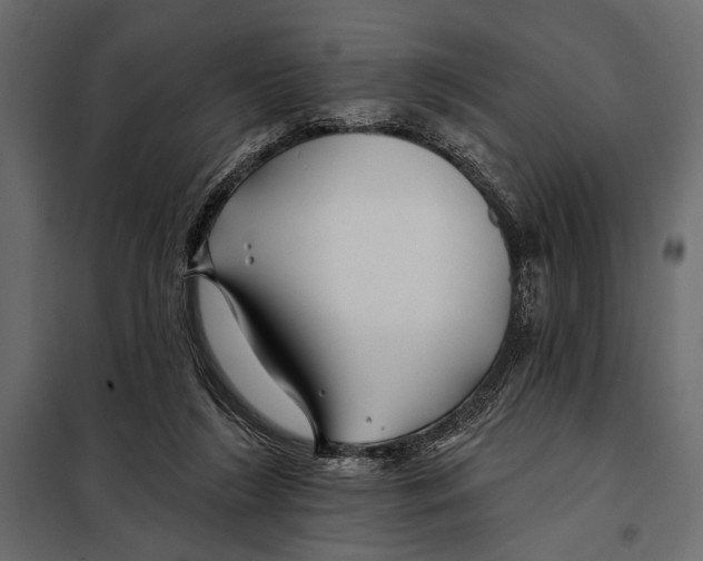 X0000098030212200804251422