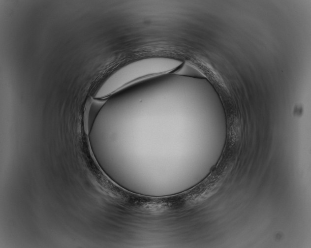 X0000098030213200804251422