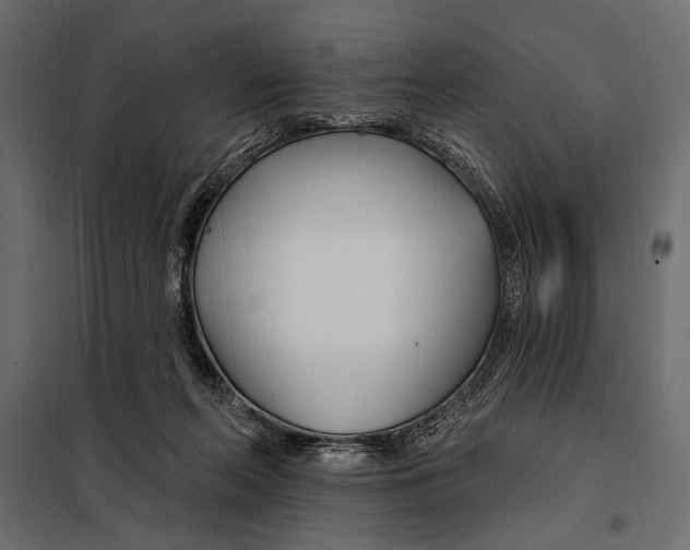 X0000098030214200804251422