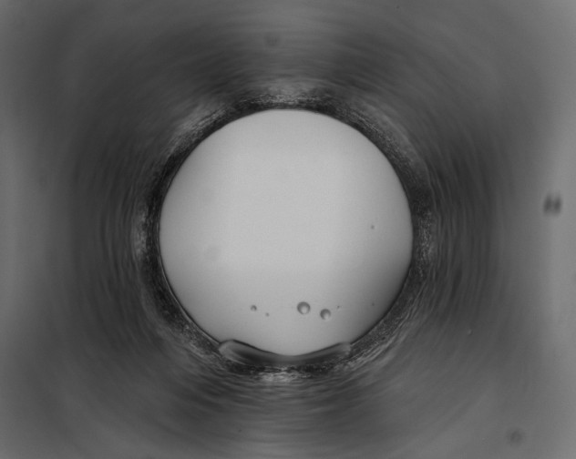 X0000098030216200804251422