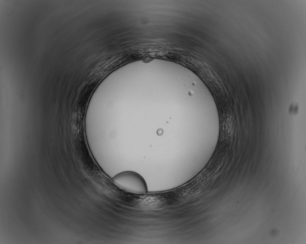 X0000098030218200804251422