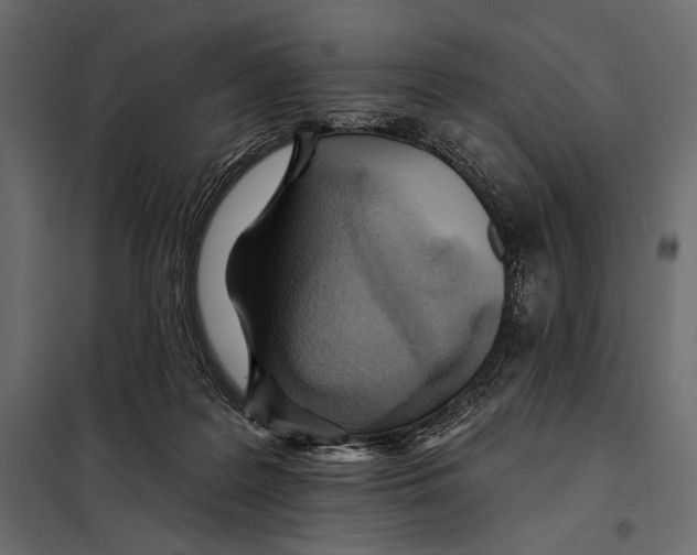 X0000098030219200804251422