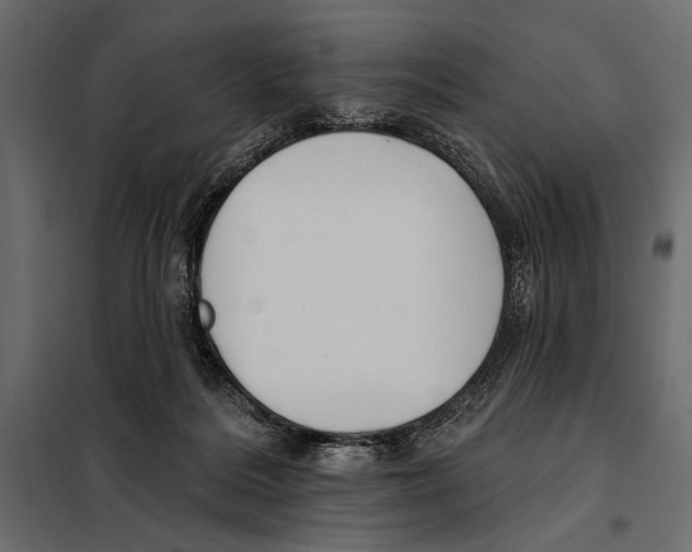 X0000098030220200804251422