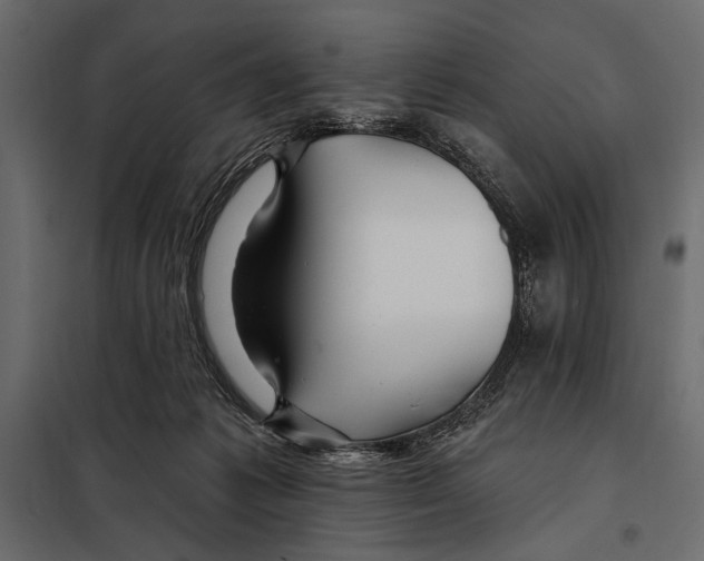 X0000098030221200804251422