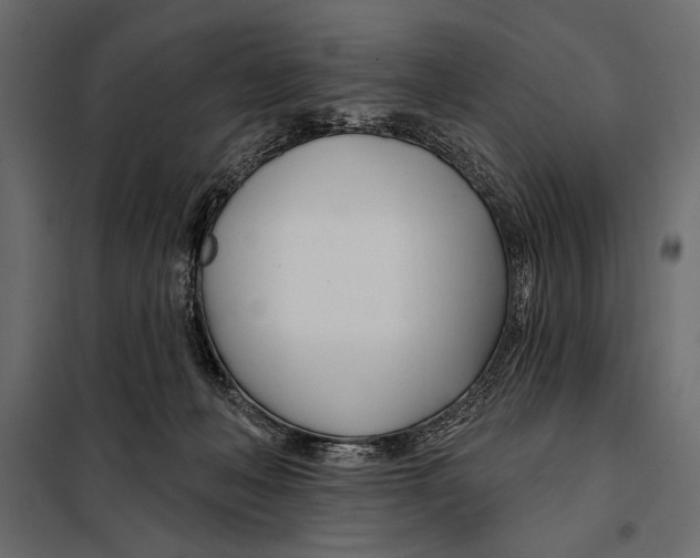 X0000098030222200804251422