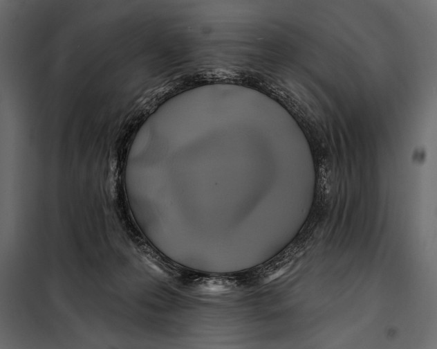 X0000098030223200804251422