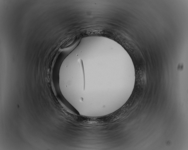 X0000098030224200804251422