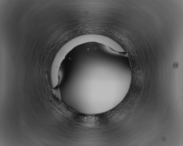 X0000098030225200804251422