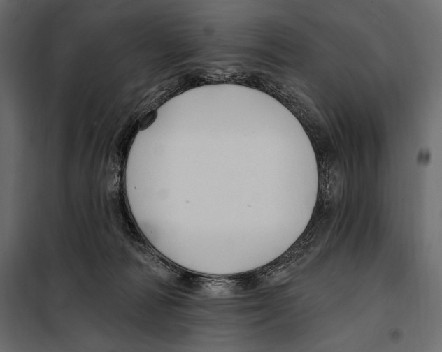 X0000098030226200804251422