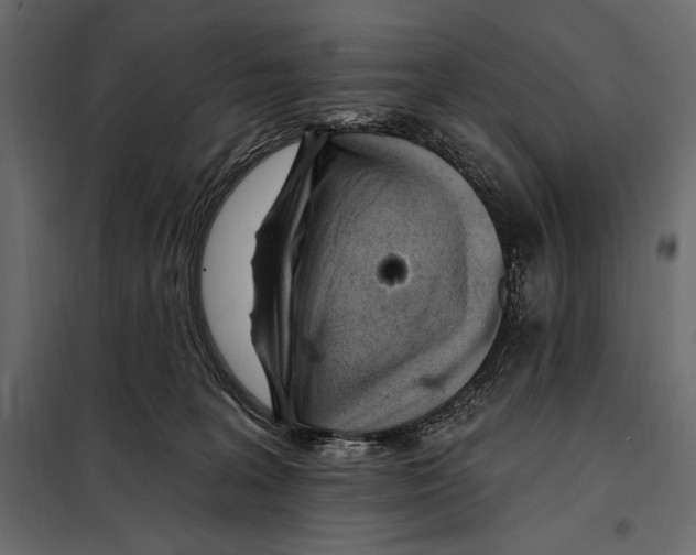 X0000098030227200804251422