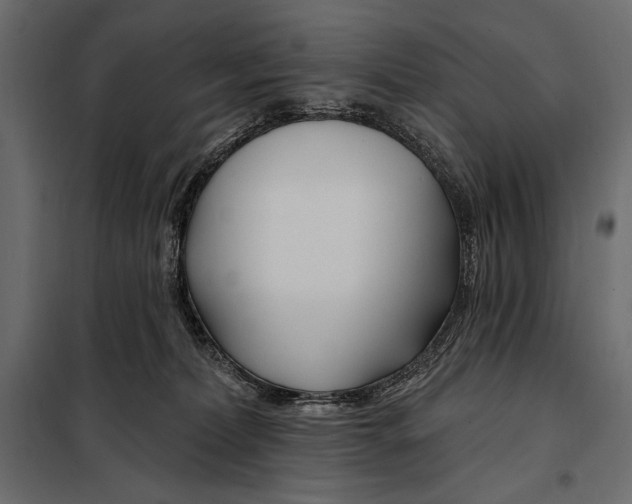 X0000098030228200804251422