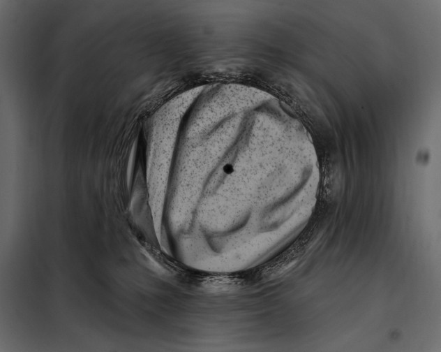 X0000098030231200804251422