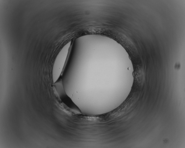 X0000098030233200804251422