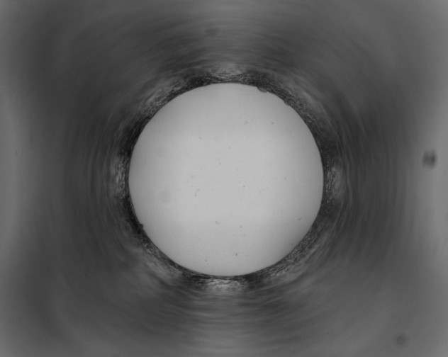 X0000098030234200804251422