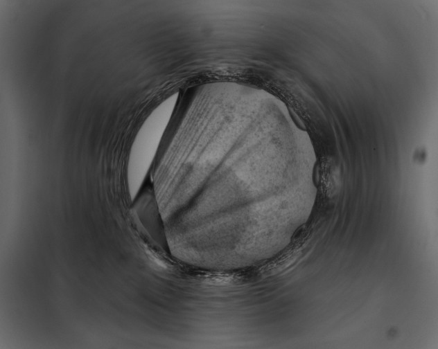 X0000098030235200804251422