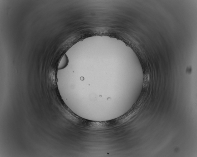 X0000098030238200804251422