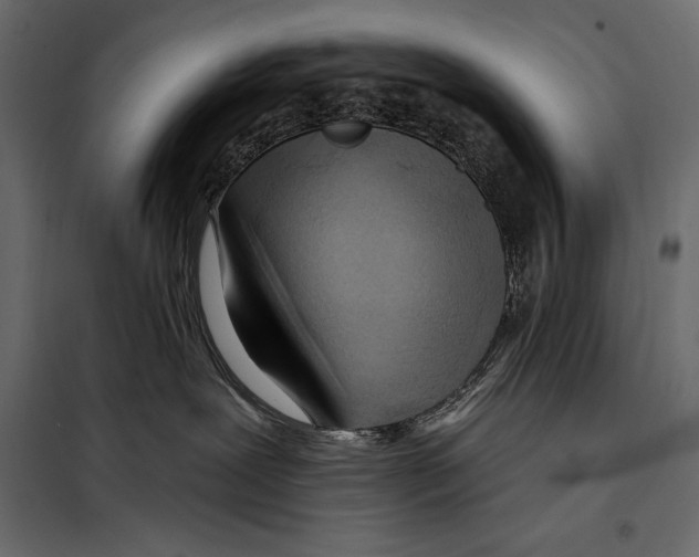 X0000098030239200804251422