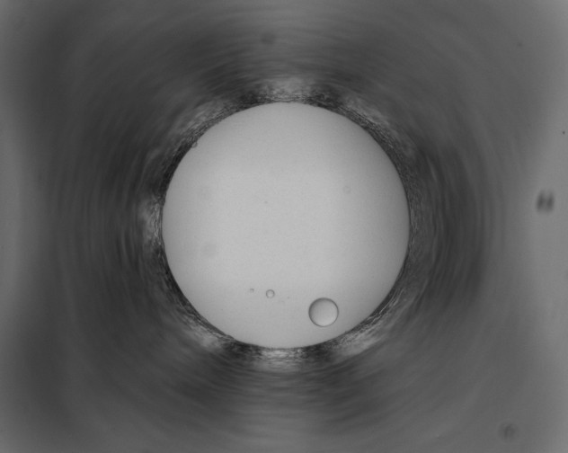 X0000098030240200804251422