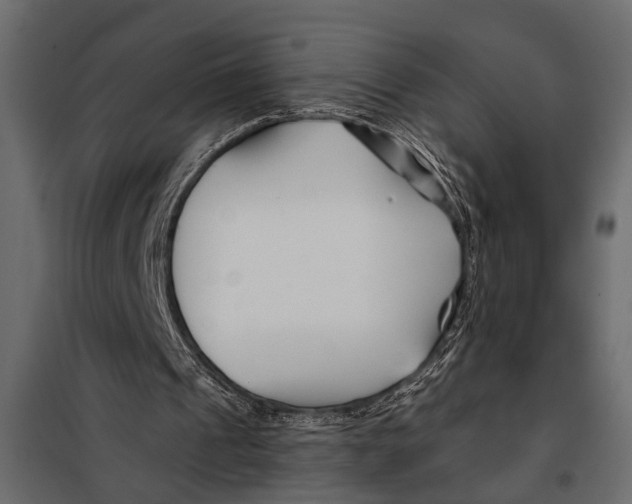 X0000098030241200804251421