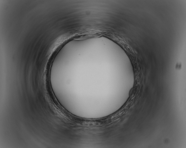 X0000098030242200804251421