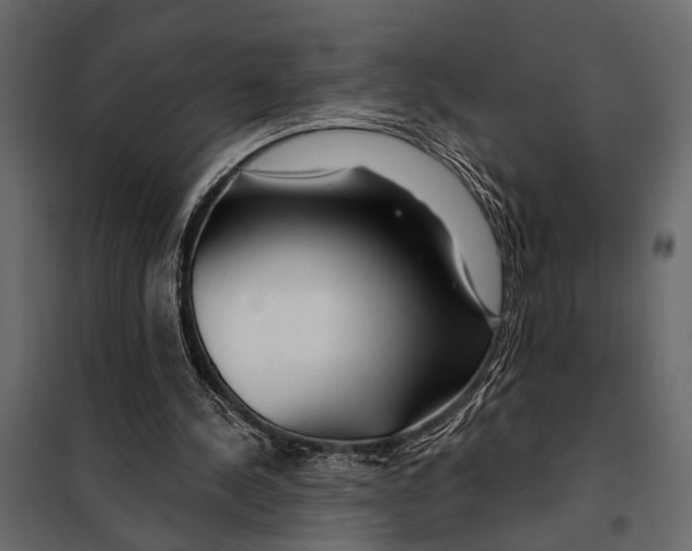 X0000098030244200804251421